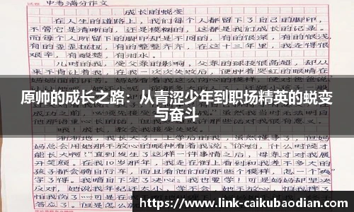 原帅的成长之路：从青涩少年到职场精英的蜕变与奋斗